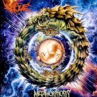 Metamorphosis