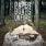 Paper Boats on Fire - Hymn Of Truth