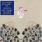 Devendra Banhart - Smokey Rolls Down Thunder Canyon