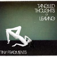 Tiny Fragments