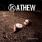 Kathew - D_Generación XXI