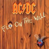 Fly on the Wall