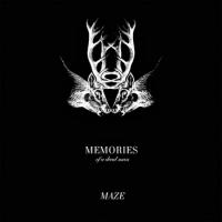 Maze