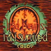 I & I Survived