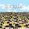 Socratic - Lunch for the Sky