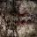 Vomitory - Euphoric Carnage
