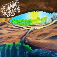 Guanaco en Llamas