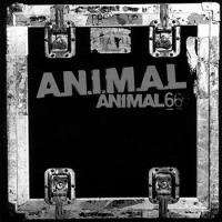 Animal 6