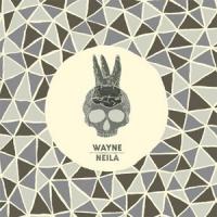 Neila/Wayne Split